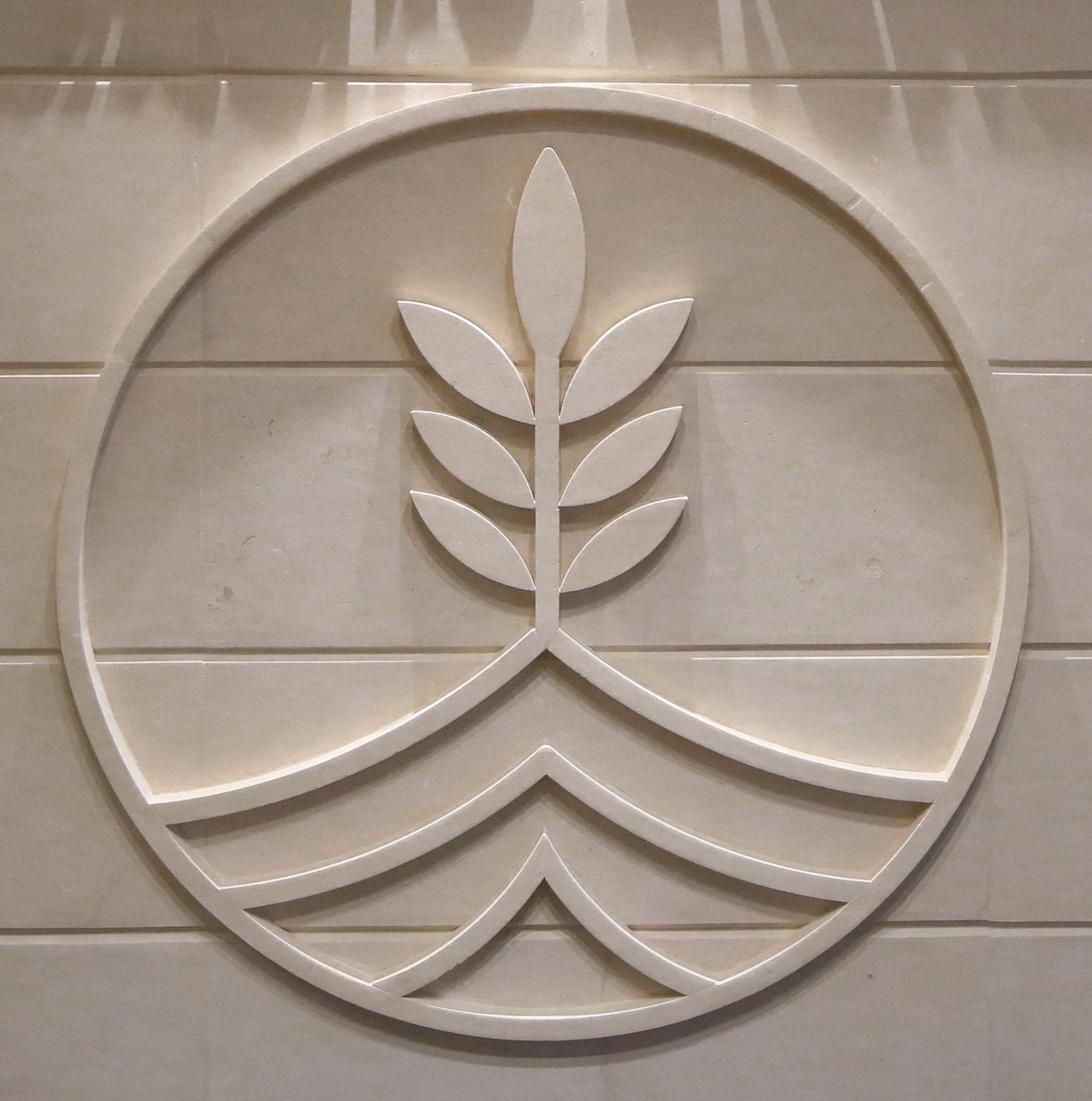 Amadeo Restaurant logo